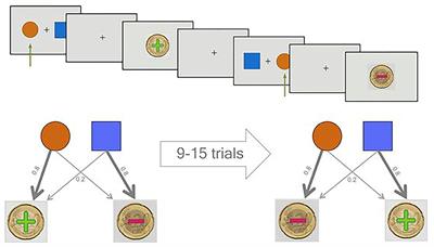 Probabilistic Reversal Learning Deficits in Patients With Methamphetamine Use Disorder—A Longitudinal Pilot Study